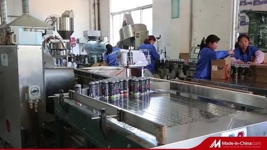 Tekoro 400ml Eco-Friendly Quick Drying Graffiti Spray Paint with 12PCS/CTN Package